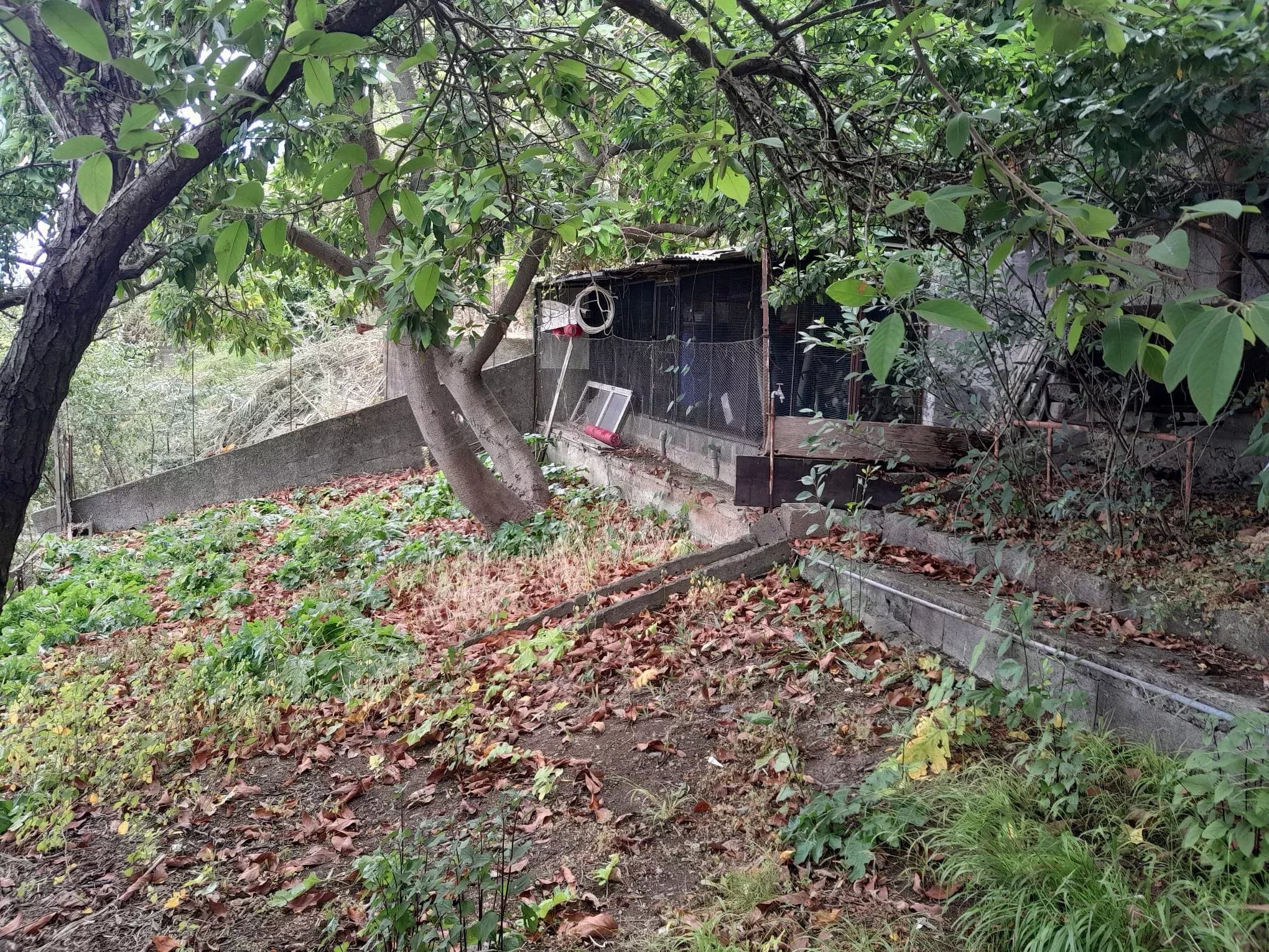 Moradia à venda em Funchal, 143 m²