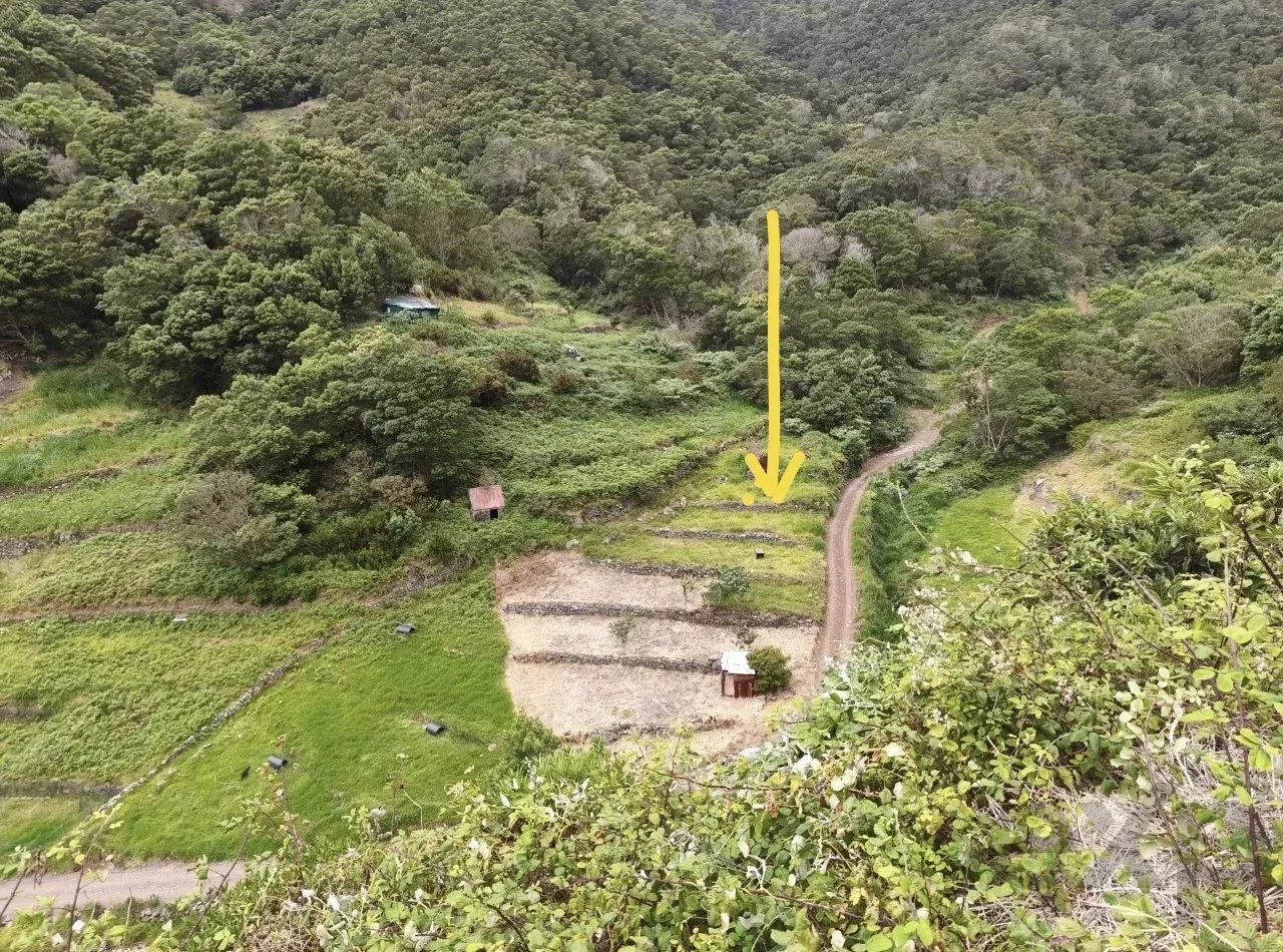Machico - Terreno Rústico com 1.640 m² e Palheiro - Ribeira Seca