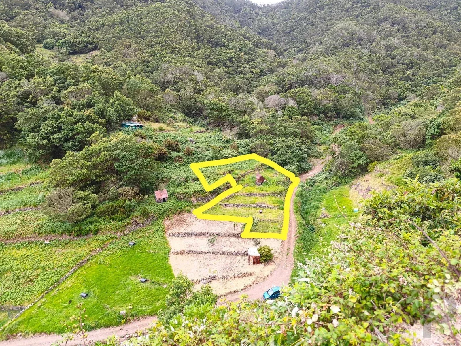 Terreno Rústico com 1.640 m² e Palheiro - Ribeira Seca, Machico