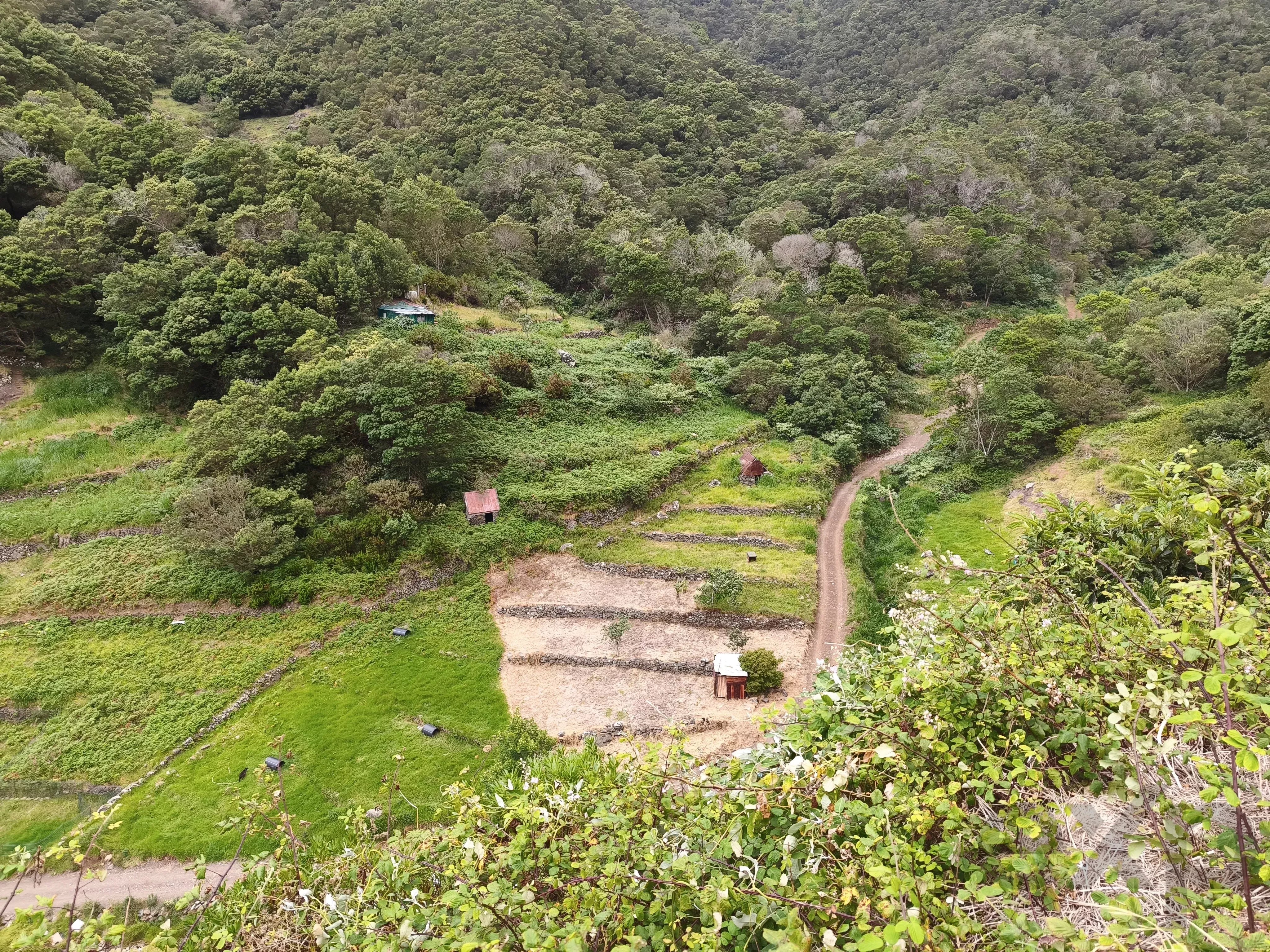 Terreno Rústico com 1.640 m² e Palheiro - Ribeira Seca, Machico