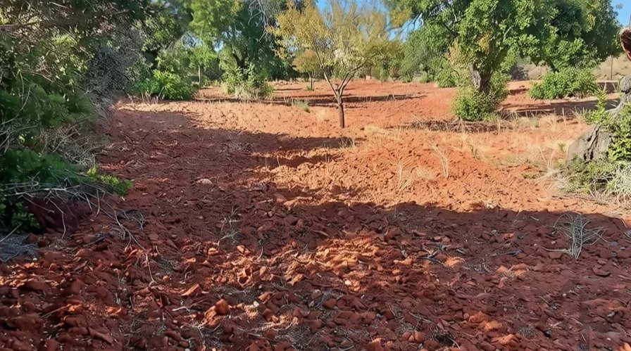 Terreno à venda em Faro (Sé e São Pedro), 4240 m²
