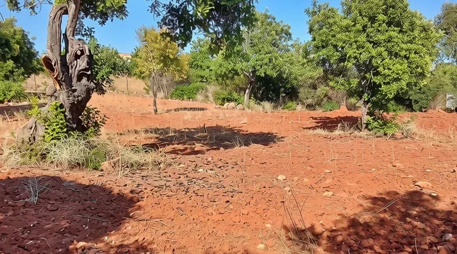 Terreno à venda em Faro (Sé e São Pedro), 4240 m²