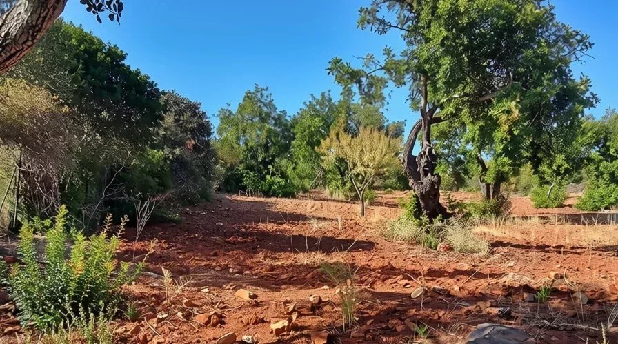 Terreno à venda em Faro (Sé e São Pedro), 4240 m²