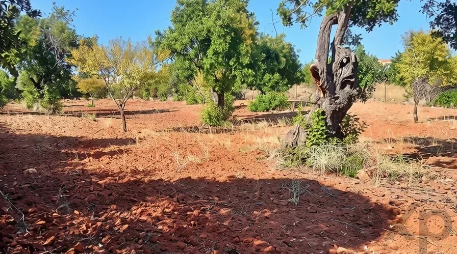 Terreno à venda em Faro (Sé e São Pedro), 4240 m²