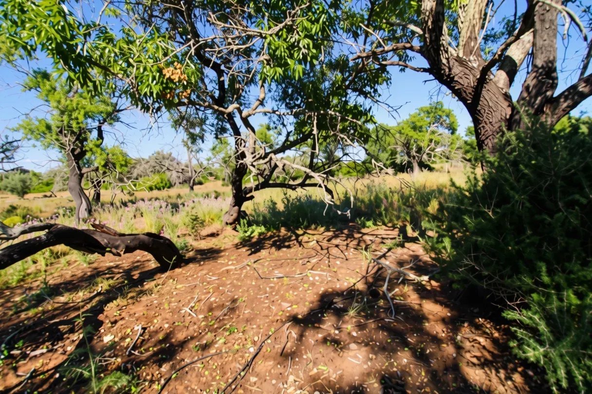 Terreno à venda em Faro (Sé e São Pedro), 2920 m²
