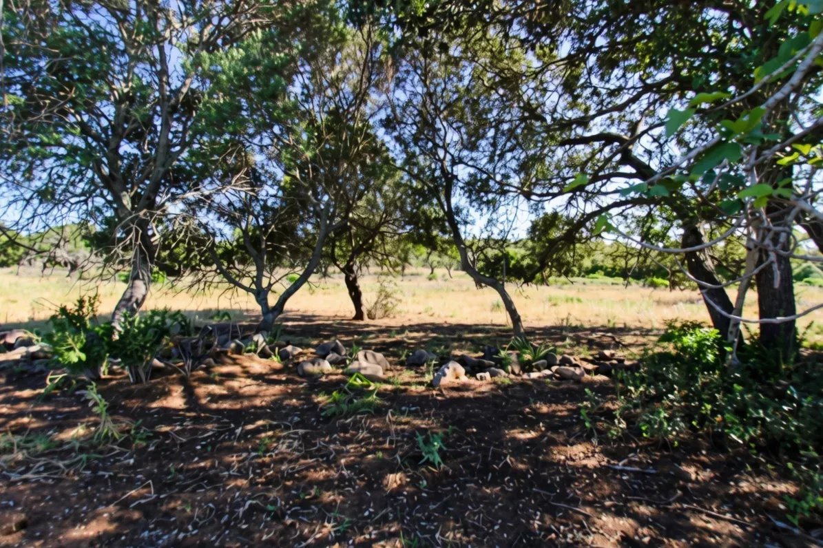 Terreno à venda em Faro (Sé e São Pedro), 2920 m²