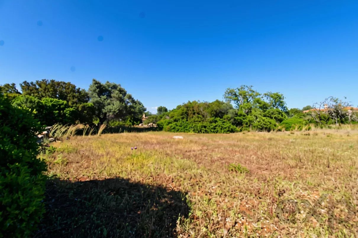 Terreno à venda em Faro (Sé e São Pedro), 2920 m²