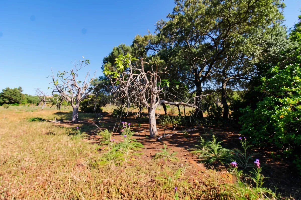 Terreno à venda em Faro (Sé e São Pedro), 2920 m²