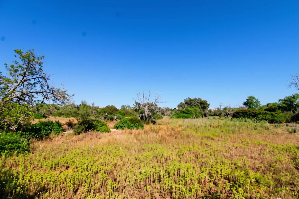 Dois terrenos rústicos planos, vendidos em conjunto, com 7120 m² 87291404 image 9