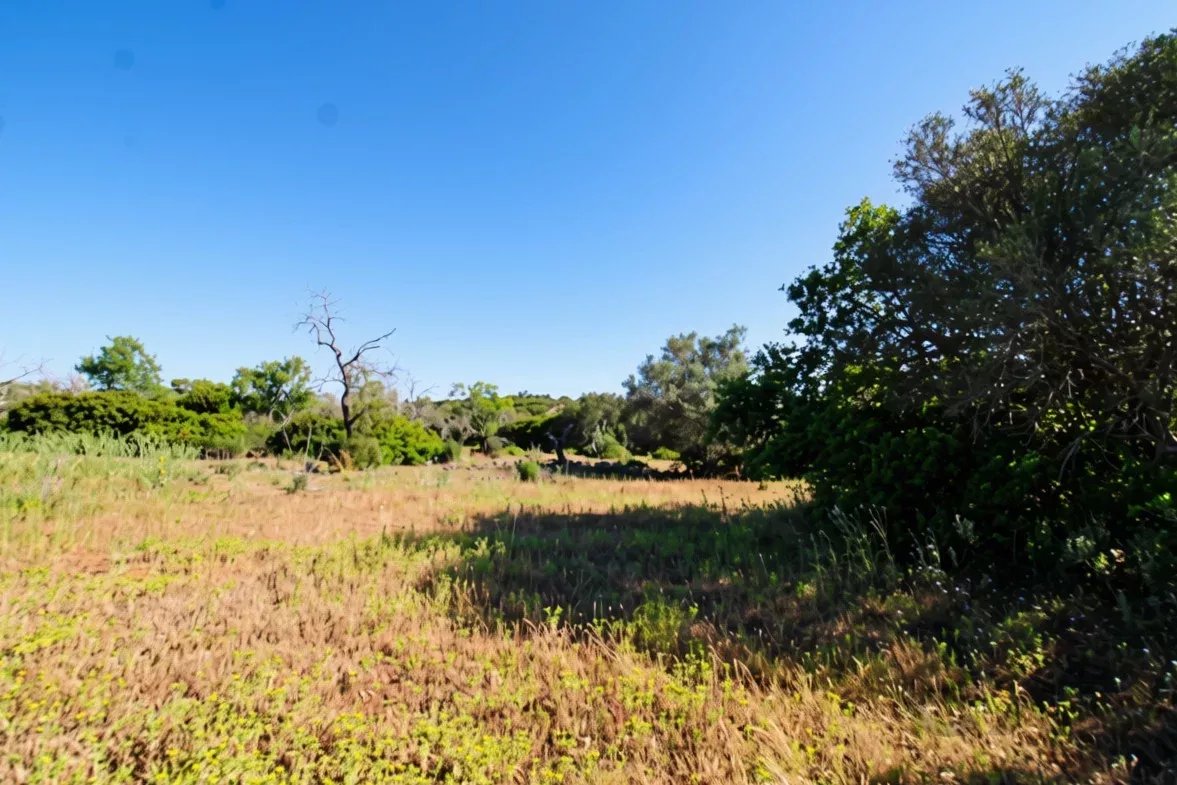 Dois terrenos rústicos planos, vendidos em conjunto, com 7120 m² 87291404 image 8