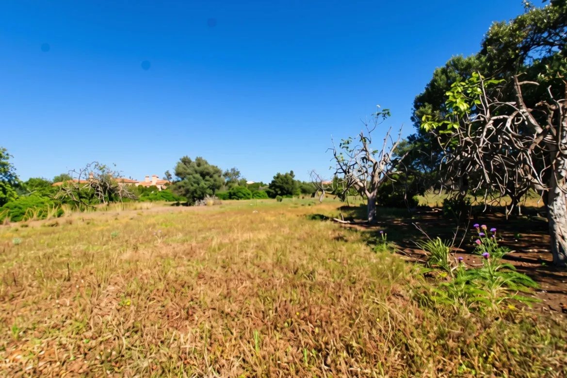 Terreno à venda em Faro (Sé e São Pedro), 7120 m²