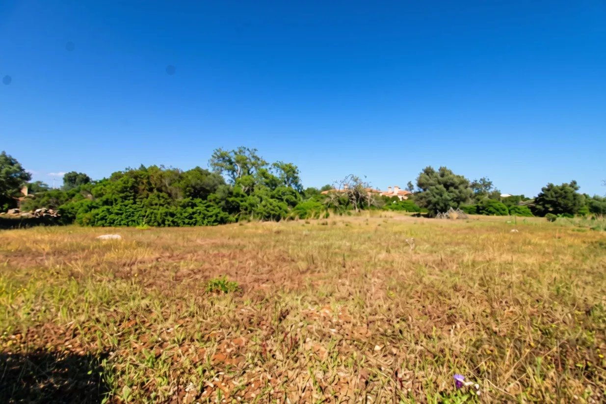 Terreno à venda em Faro (Sé e São Pedro), 7120 m²