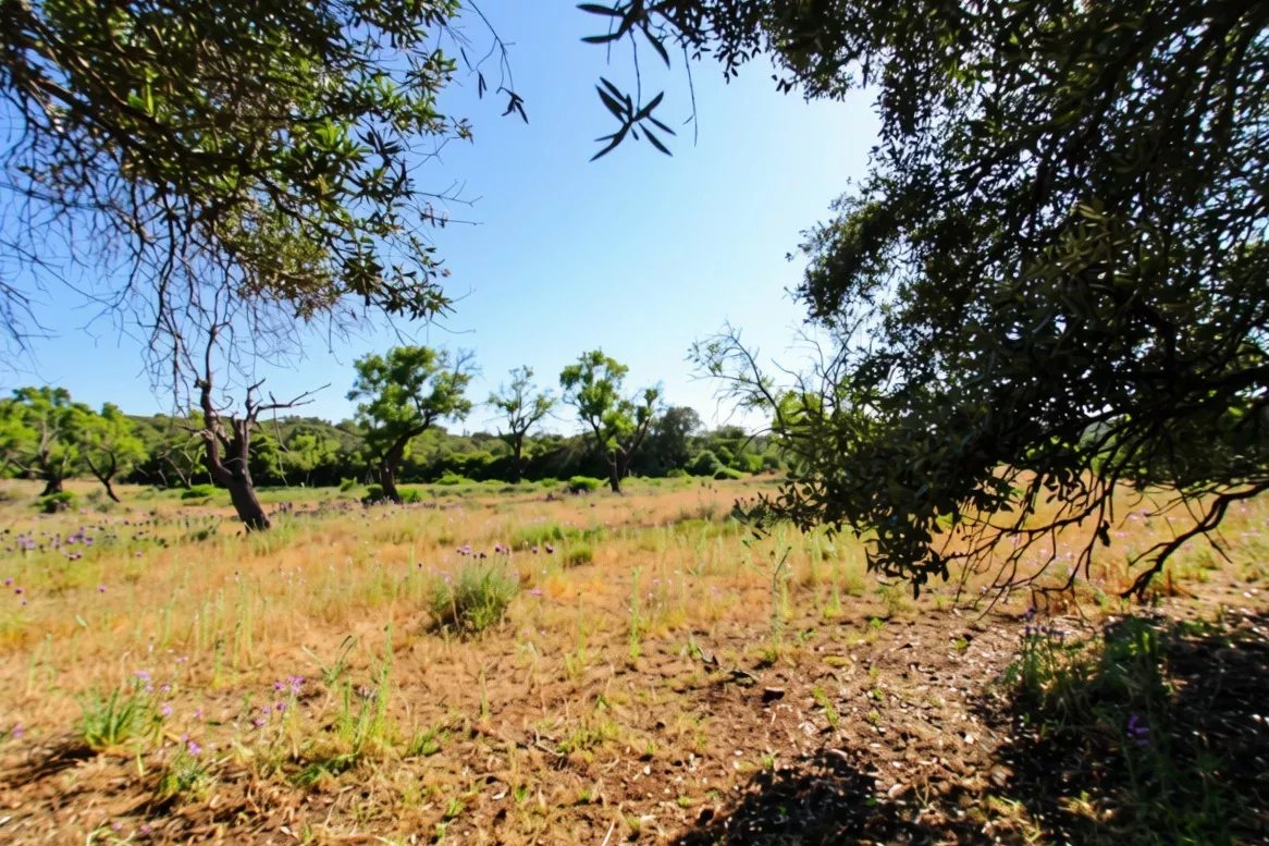 Terreno à venda em Faro (Sé e São Pedro), 7120 m²