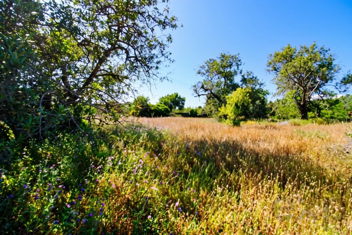 Terreno à venda em Faro (Sé e São Pedro), 5080 m²