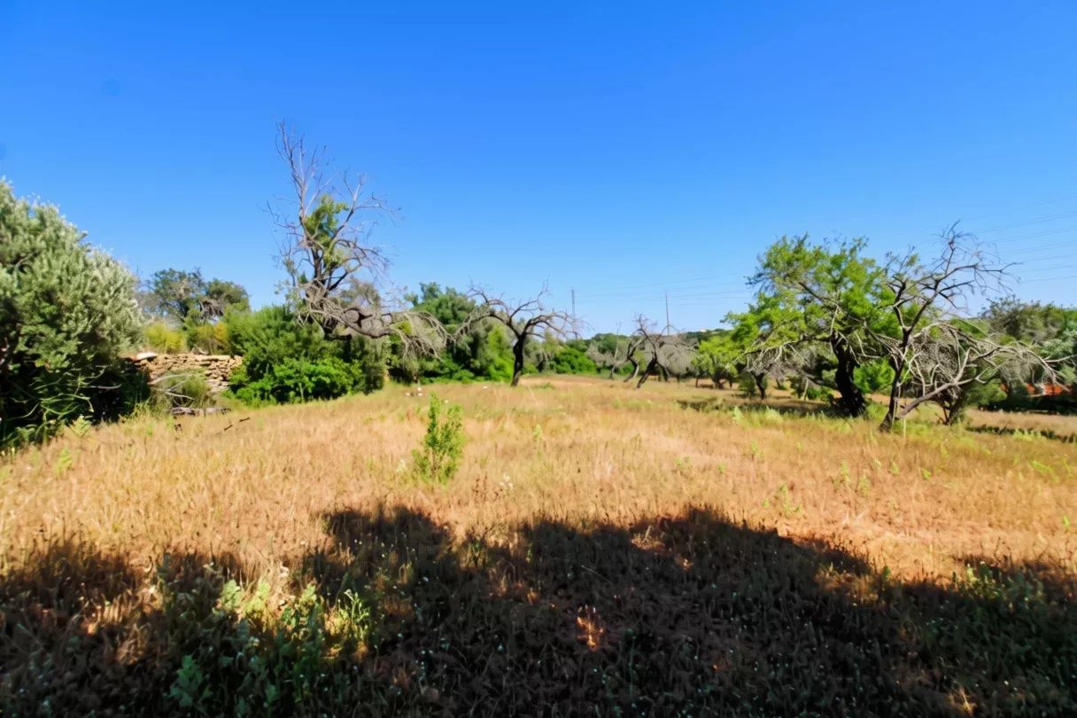Terreno à venda em Faro (Sé e São Pedro), 5080 m²