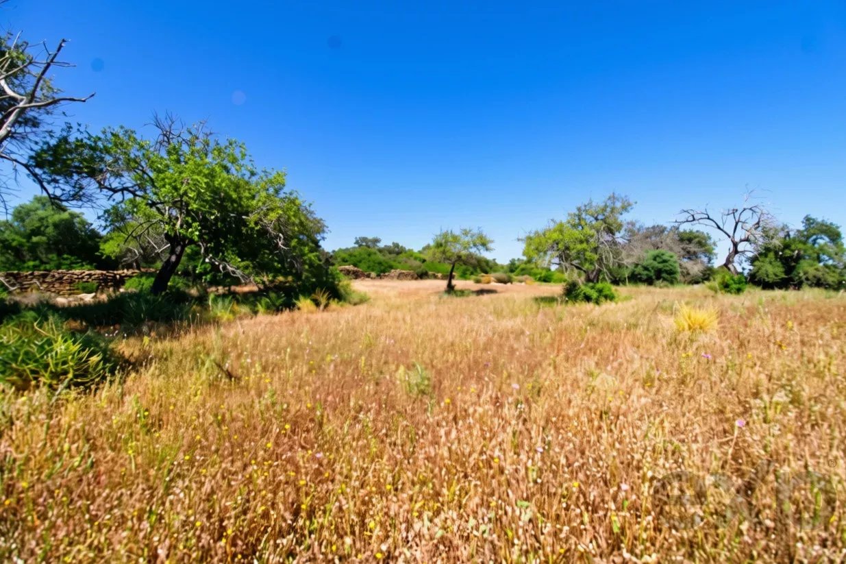 Terreno à venda em Faro (Sé e São Pedro), 5080 m²