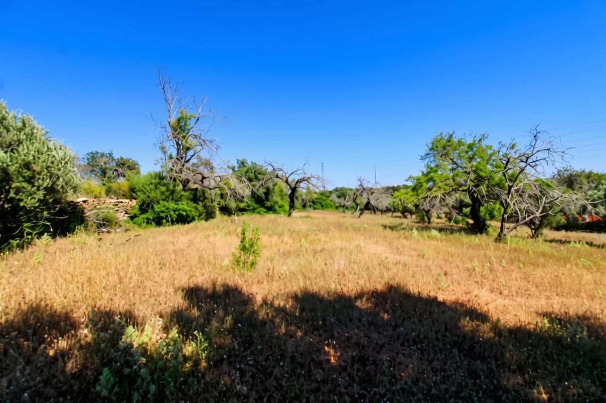 Terreno à venda em Faro (Sé e São Pedro), 5080 m²