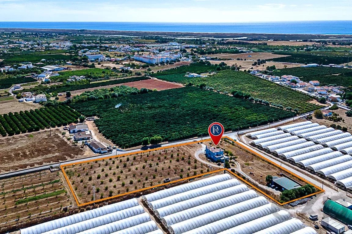 Luz de Tavira (Algarve) Moradia T4 com Terreno de 8.400m² 87301254 image 45