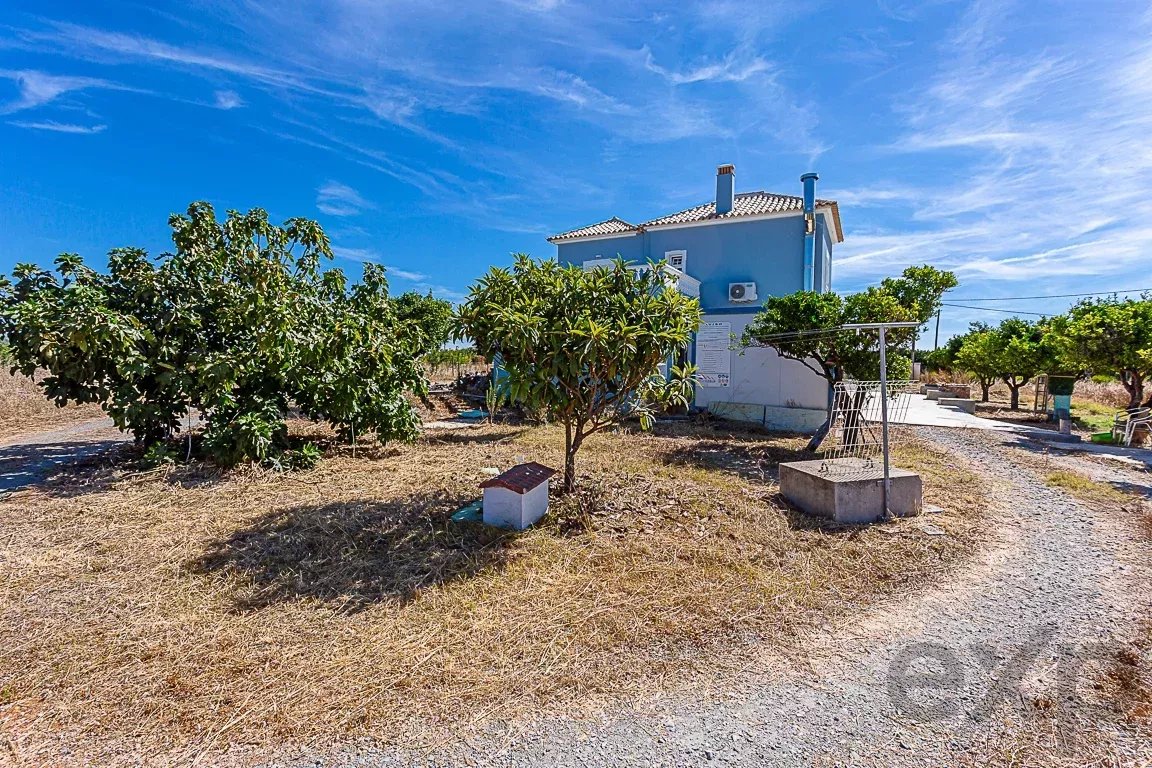 Luz de Tavira (Algarve) Moradia T4 com Terreno de 8.400m² 87301254 image 38