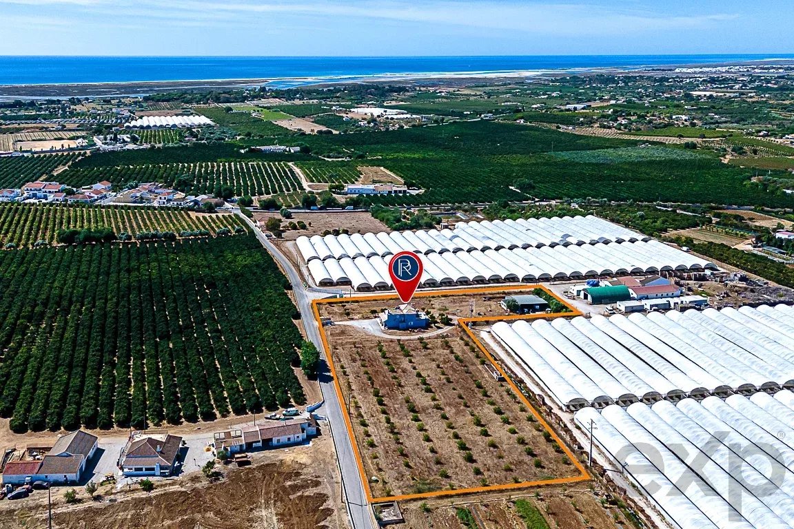 Luz de Tavira (Algarve) Moradia T4 com Terreno de 8.400m² 87301254 image 44