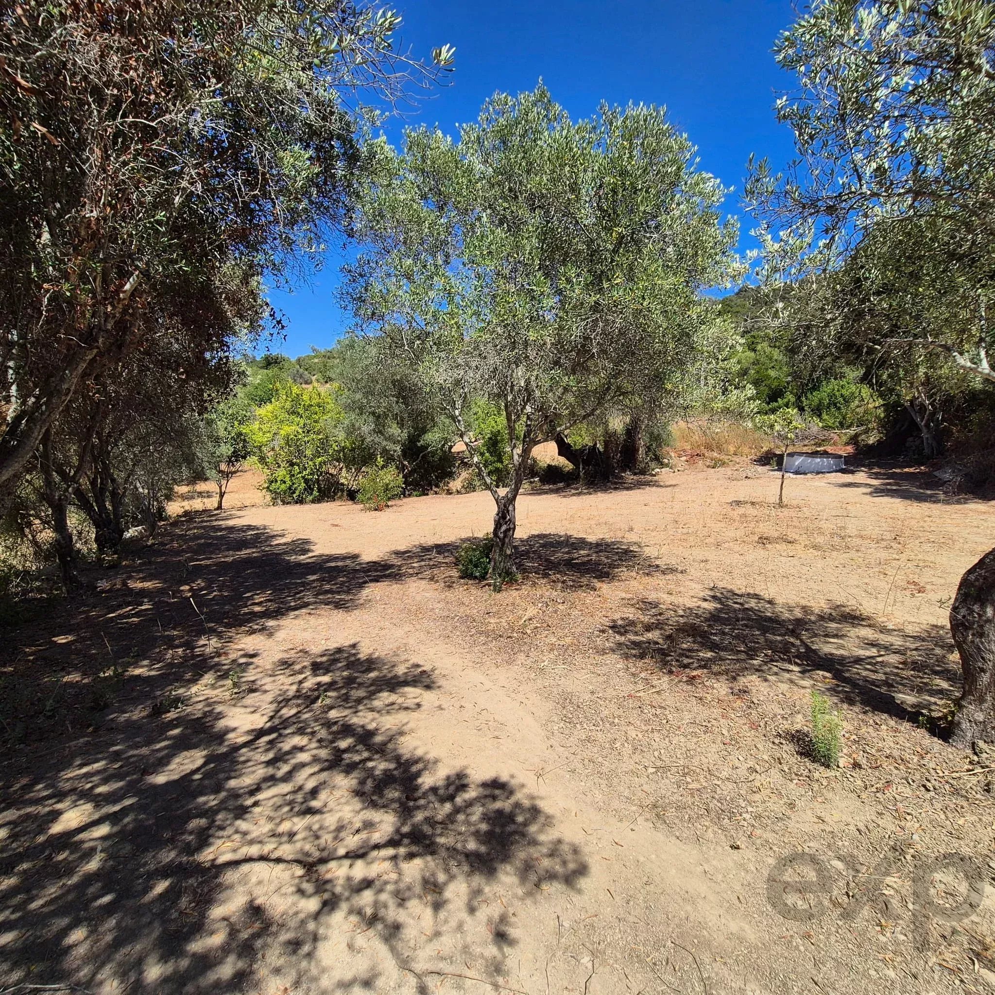 Terreno à venda em Conceição e Estoi, 697 m²