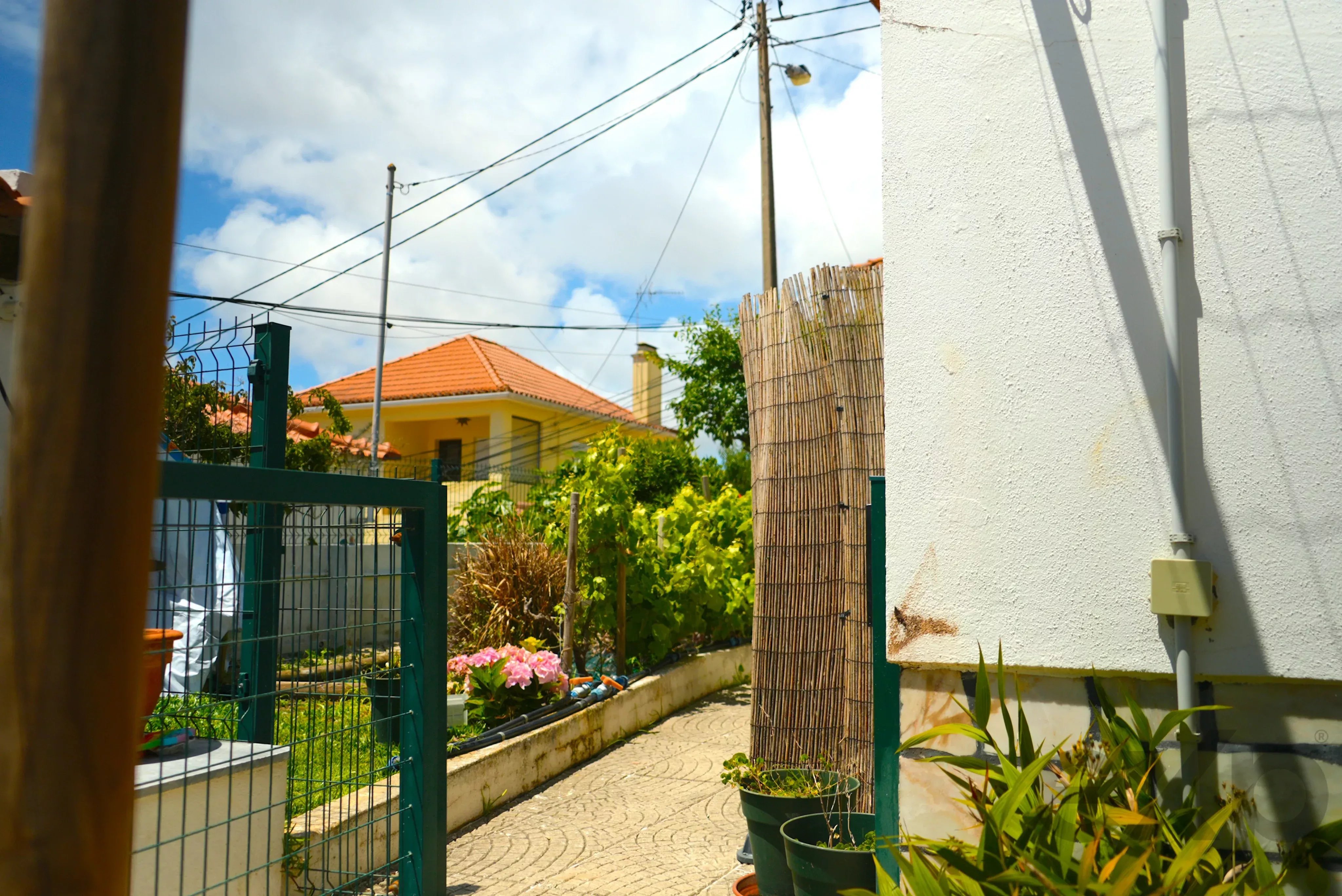 Oportunidade de Investimento 87330181 image 19