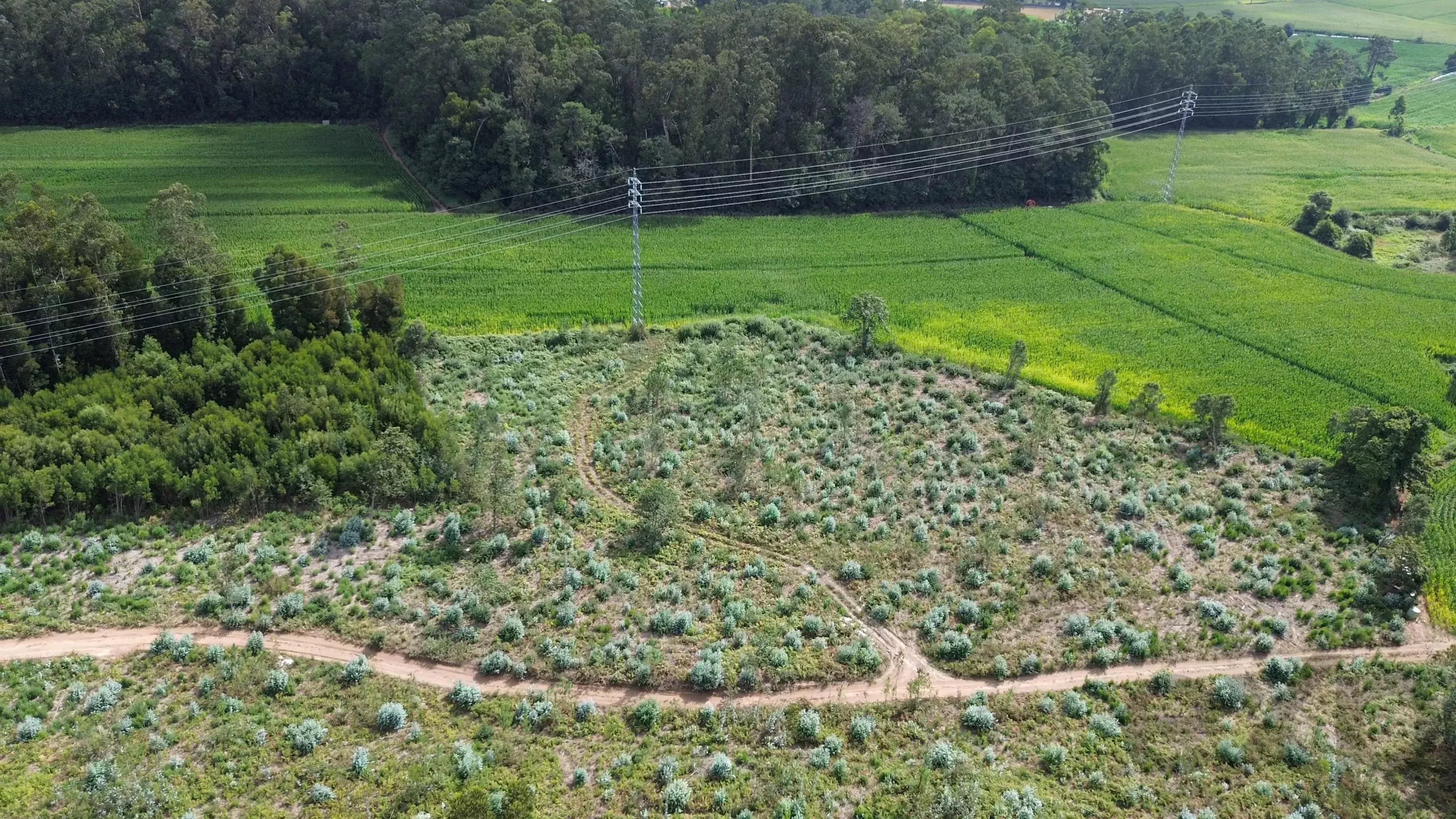 Terreno à venda em Bagunte, Ferreiró, Outeiro Maior e Parada, 52000 m²