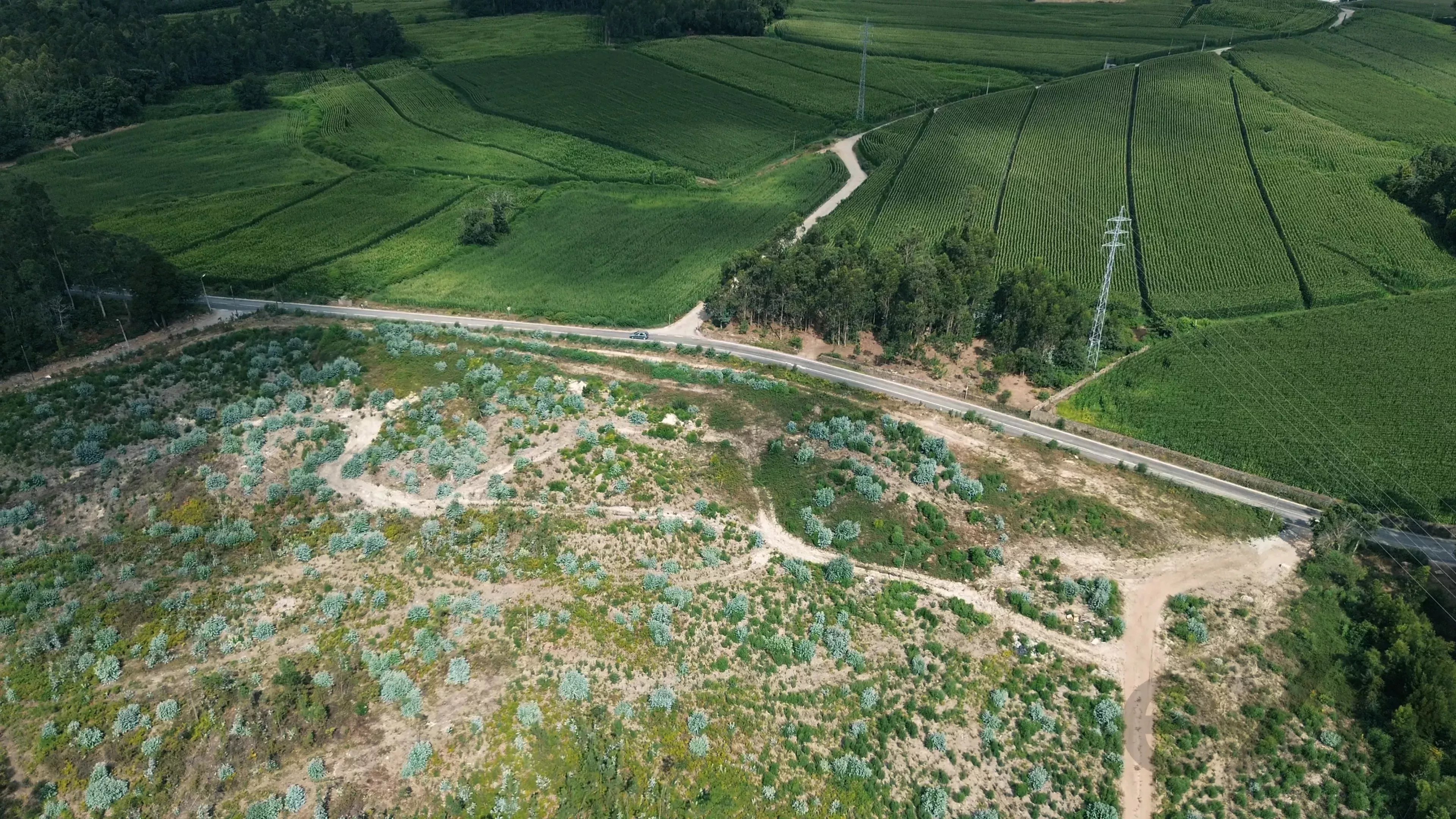 Terreno à venda em Bagunte, Ferreiró, Outeiro Maior e Parada, 52000 m²