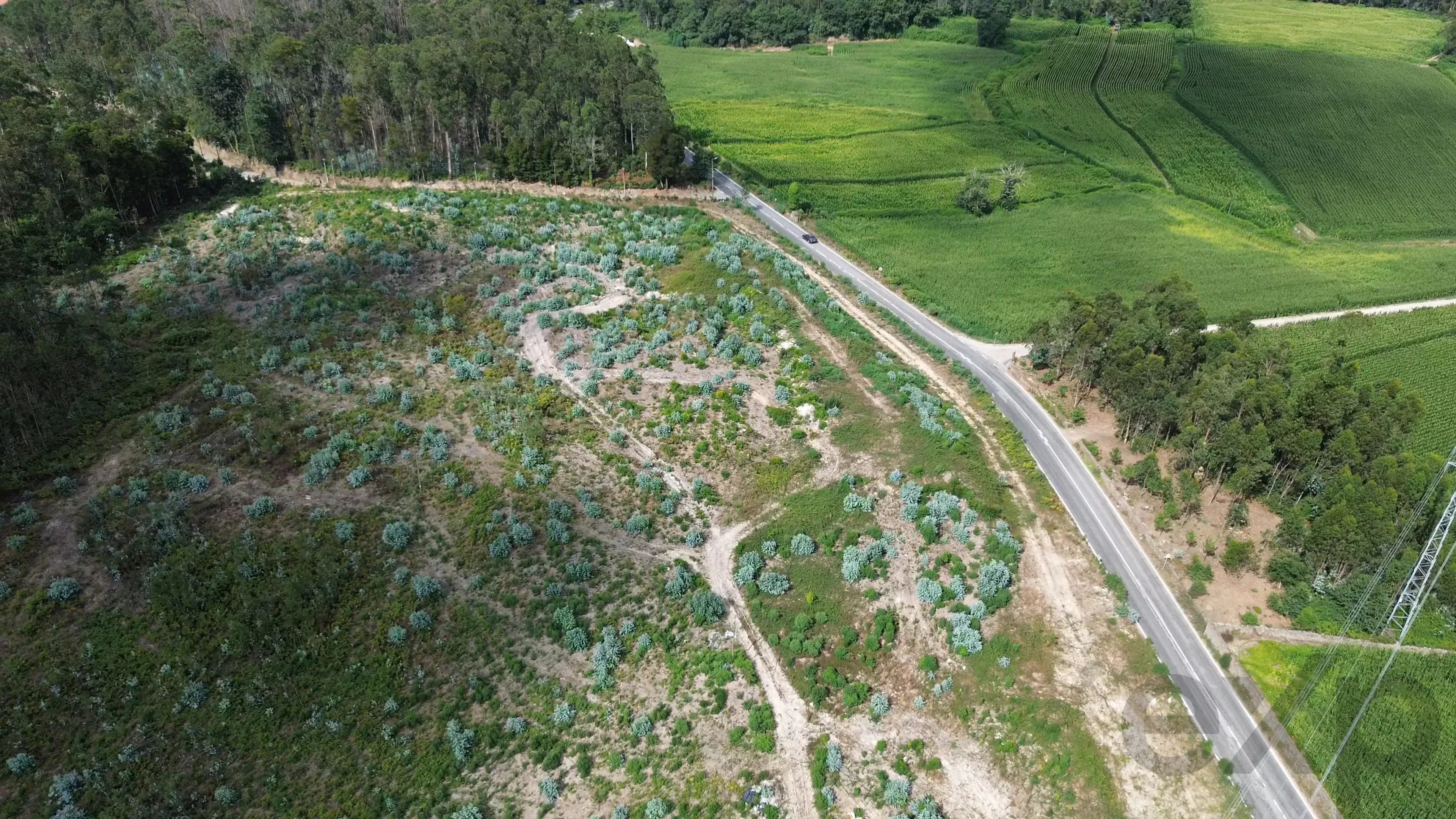 Terreno à venda em Bagunte, Ferreiró, Outeiro Maior e Parada, 52000 m²