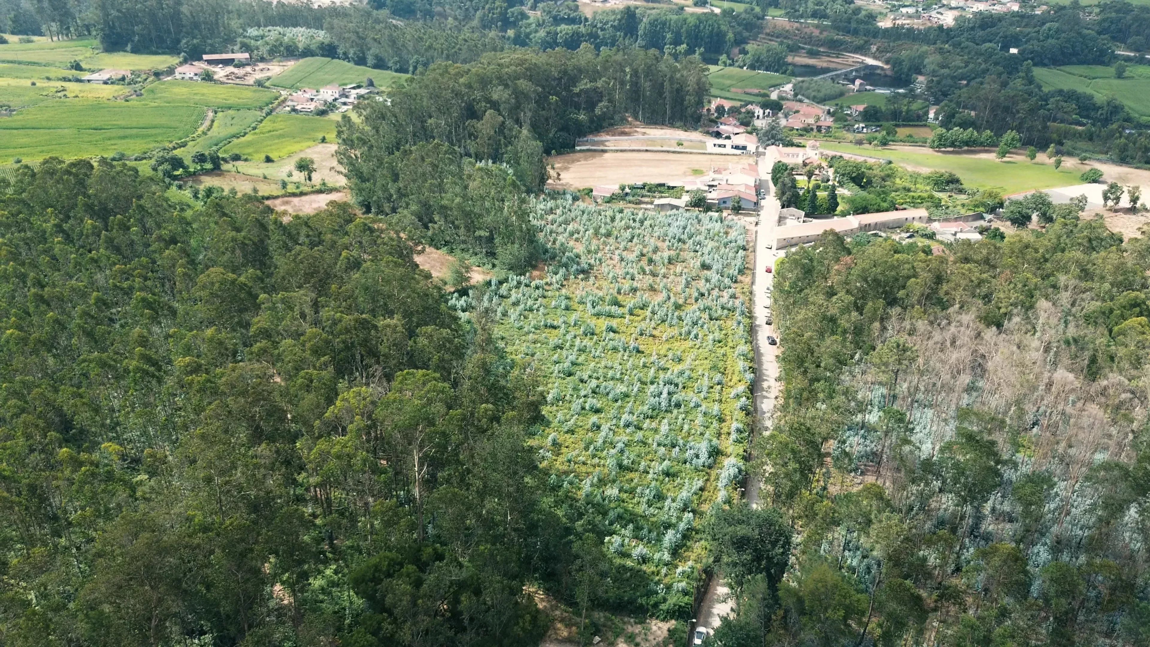 Terreno à venda em Bagunte, Ferreiró, Outeiro Maior e Parada, 52000 m²
