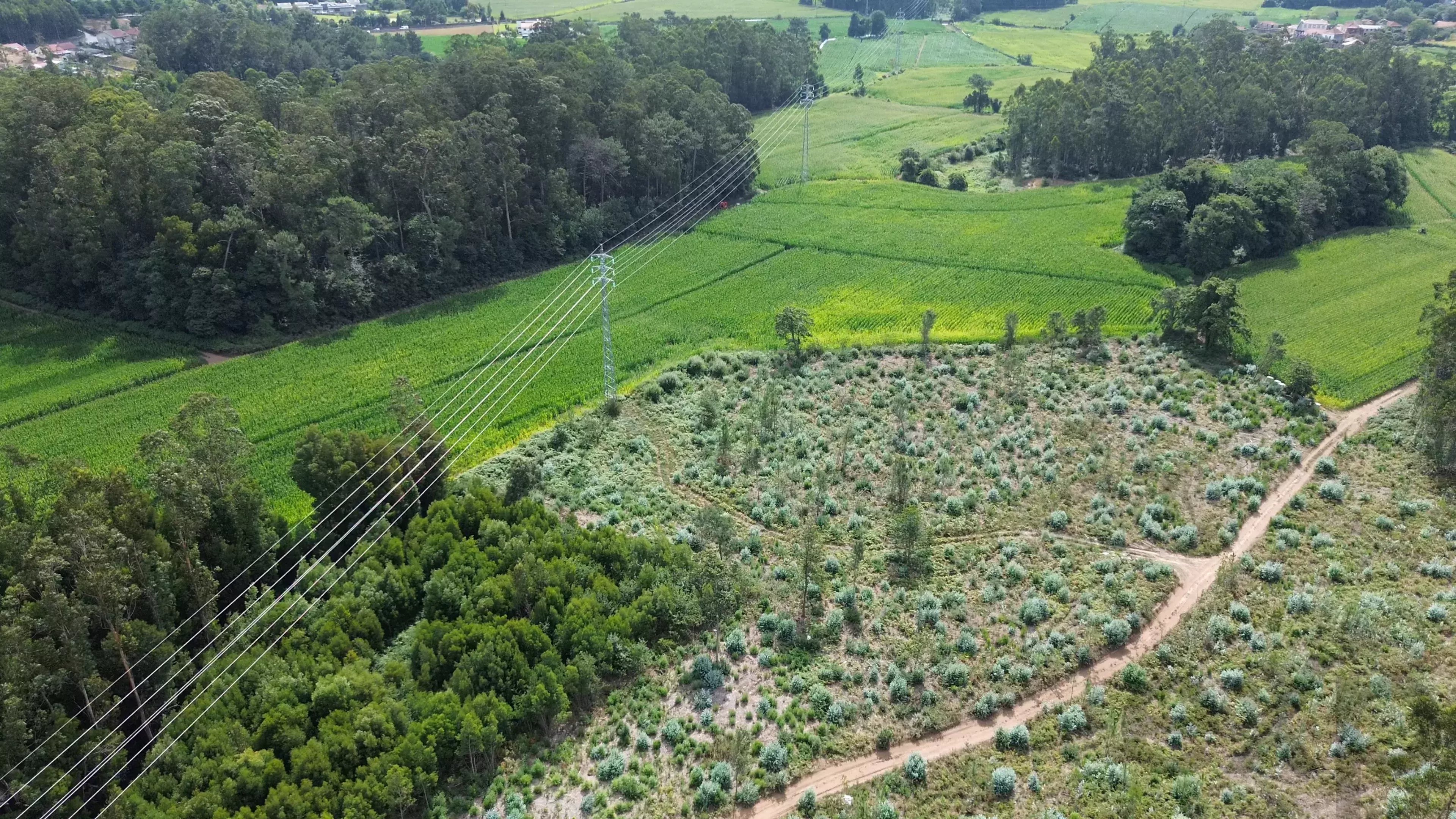 Terreno à venda em Bagunte, Ferreiró, Outeiro Maior e Parada, 52000 m²