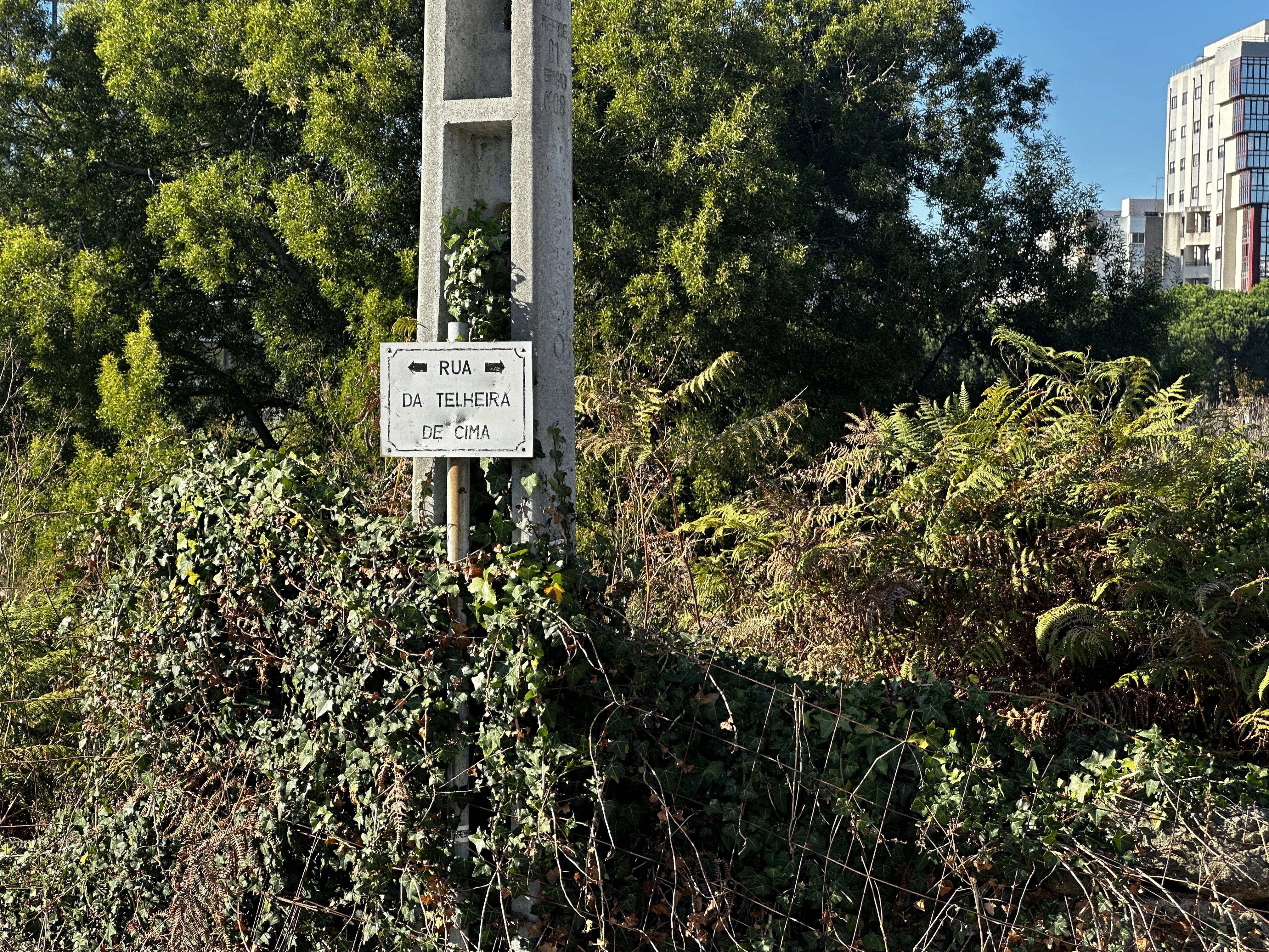 Land/Plot for sale in Vila Nova De Gaia, 1030 m²