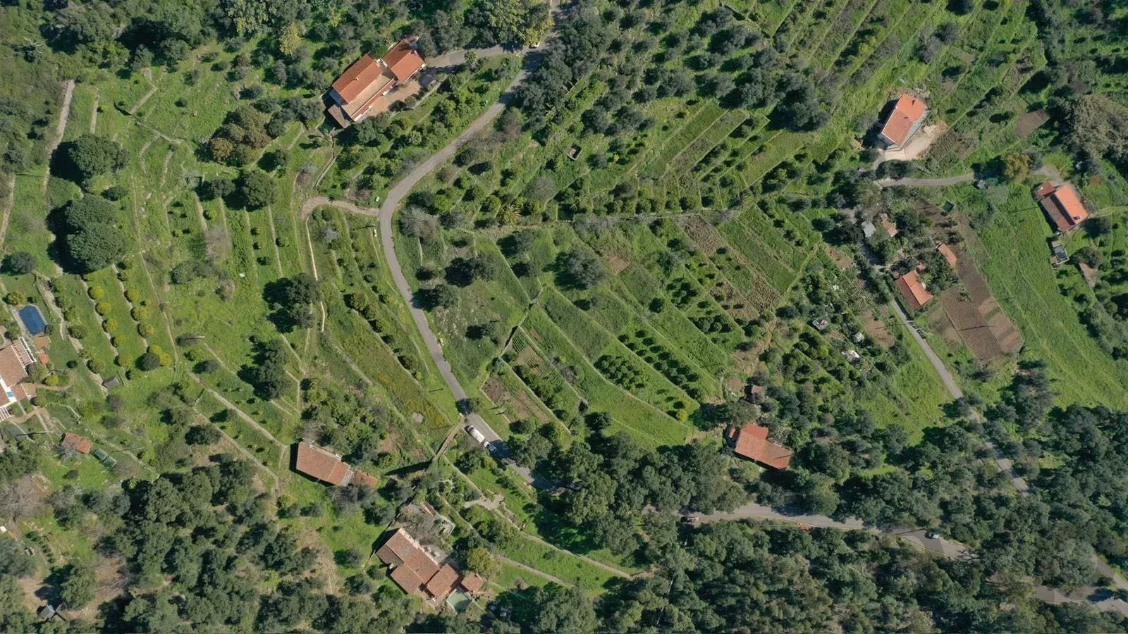 Terreno à venda em Alferce, CERCA DE TRAS PEDRA BRANCA, 8550-033 Alferce, 4895 m²