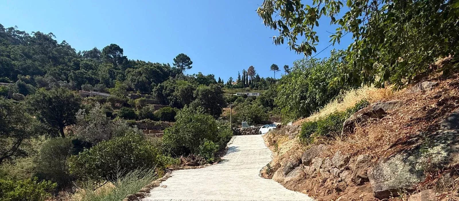 Terreno à venda em Alferce, CERCA DE TRAS PEDRA BRANCA, 8550-033 Alferce, 4895 m²
