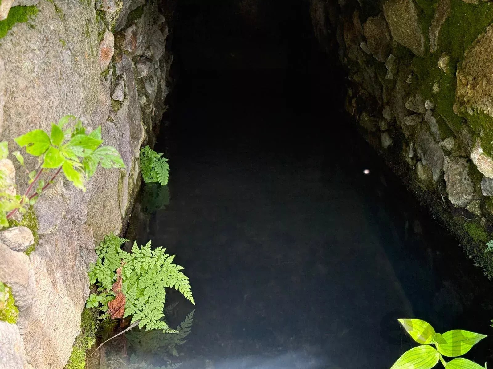 Terreno à venda em Alferce, CERCA DE TRAS PEDRA BRANCA, 8550-033 Alferce, 4895 m²