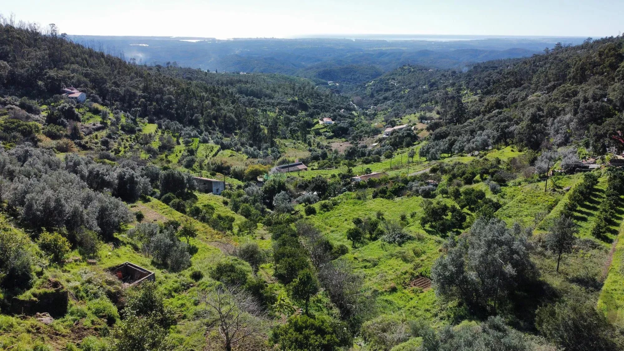 Terreno à venda em Alferce, CERCA DE TRAS PEDRA BRANCA, 8550-033 Alferce, 4895 m²