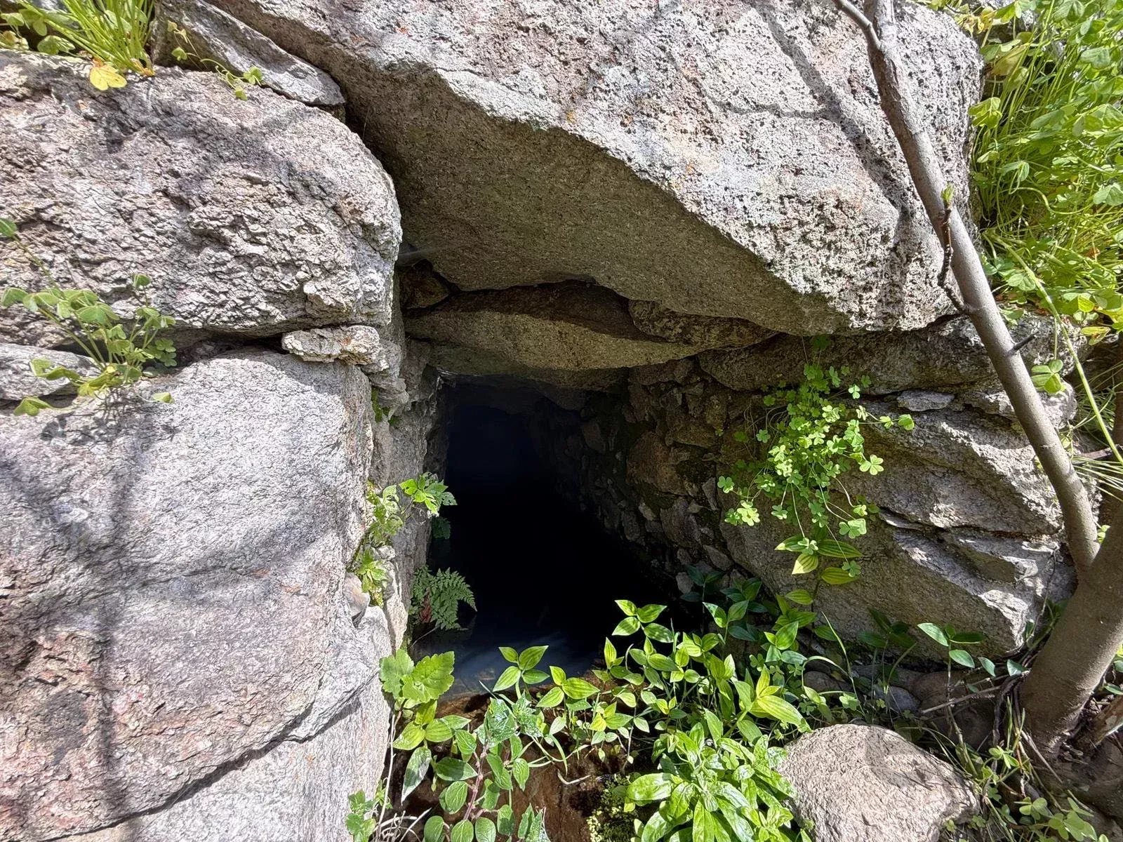 Terreno à venda em Alferce, CERCA DE TRAS PEDRA BRANCA, 8550-033 Alferce, 4895 m²