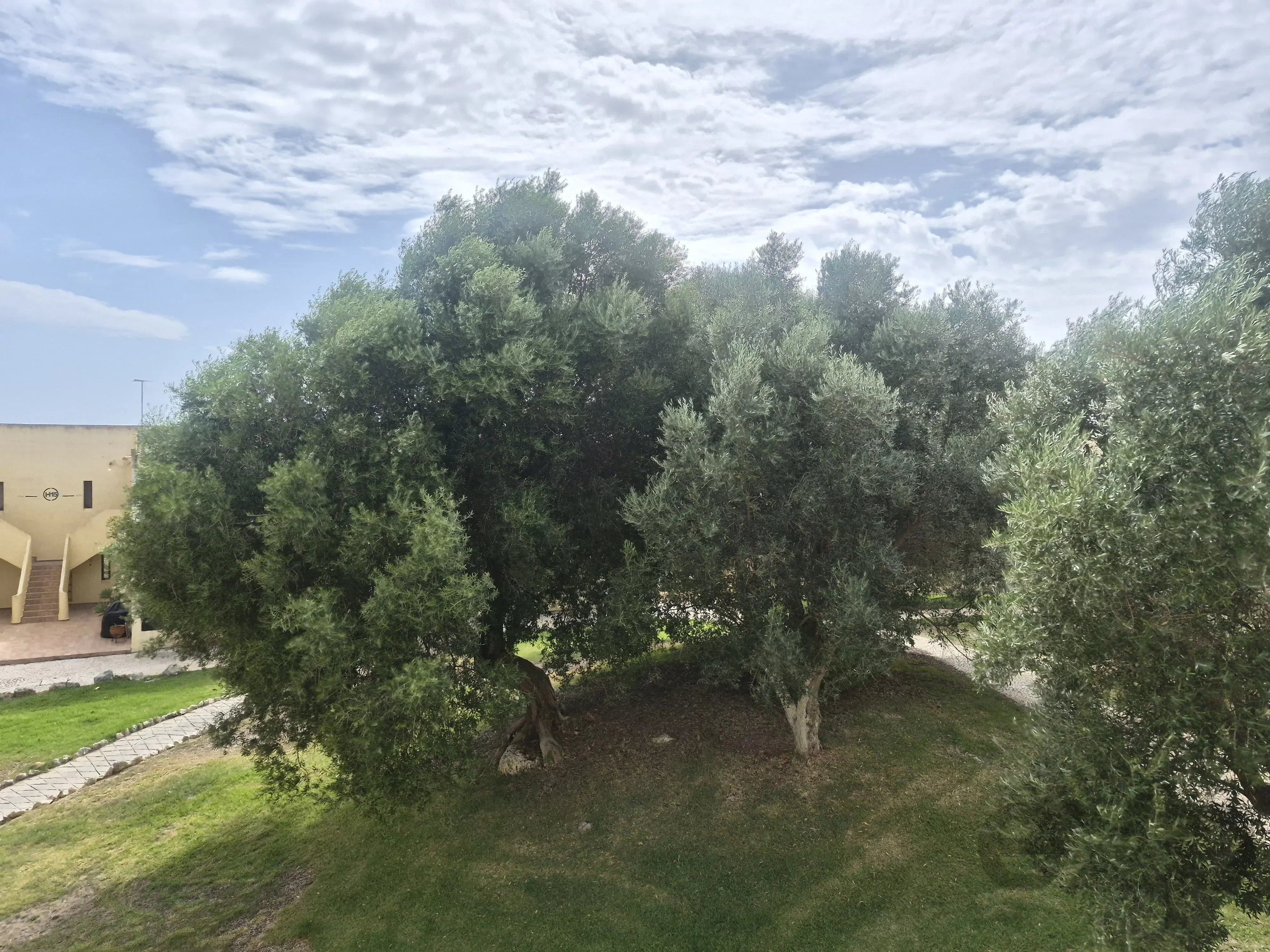 Apartamento de 1 quarto (T1) iluminado, com orientação sul e varanda – Alvor 87438960 image 24