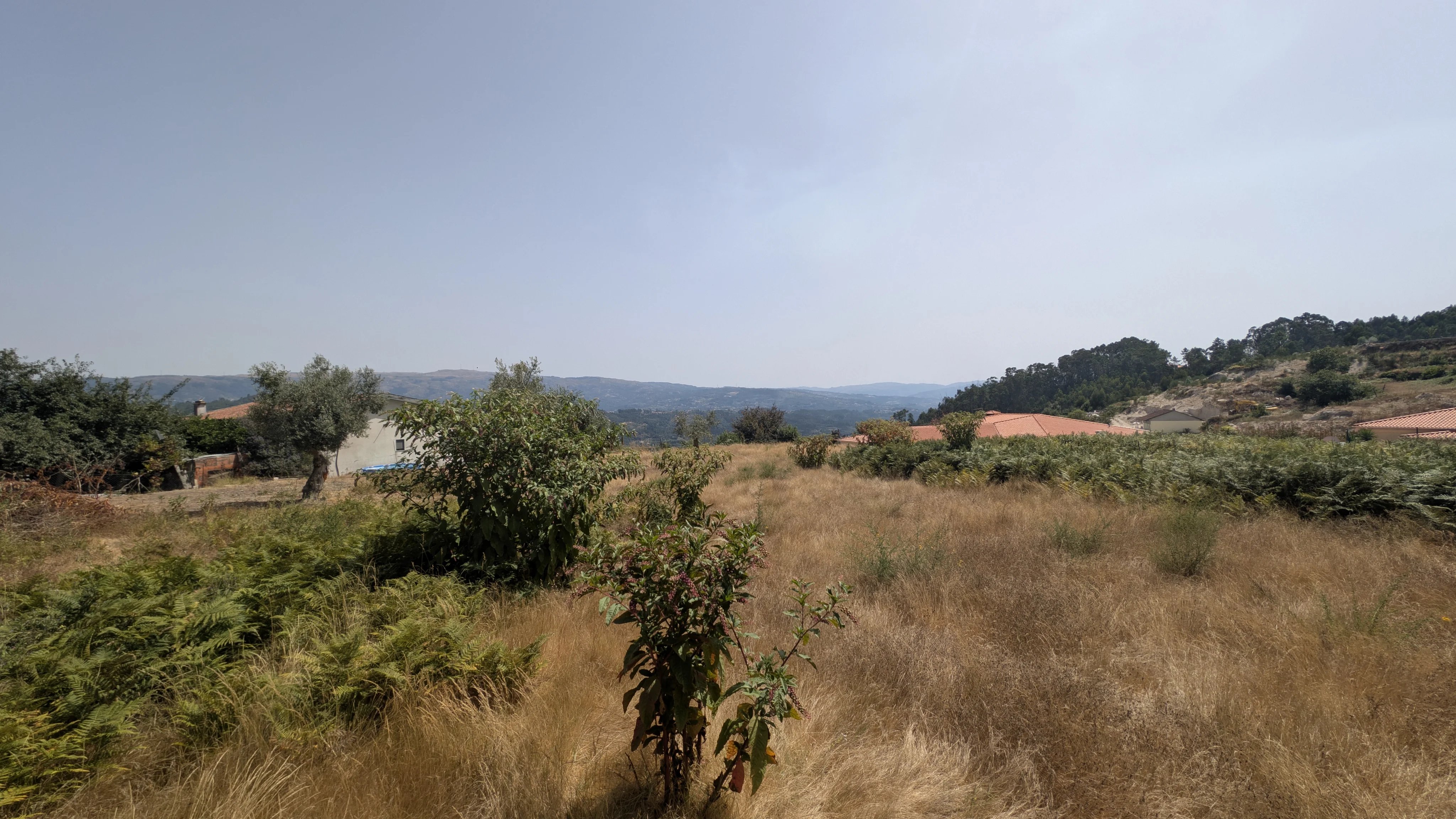 Terreno à venda em Louredo, R. dos Avelais, 4600-670 Louredo, 6745 m²