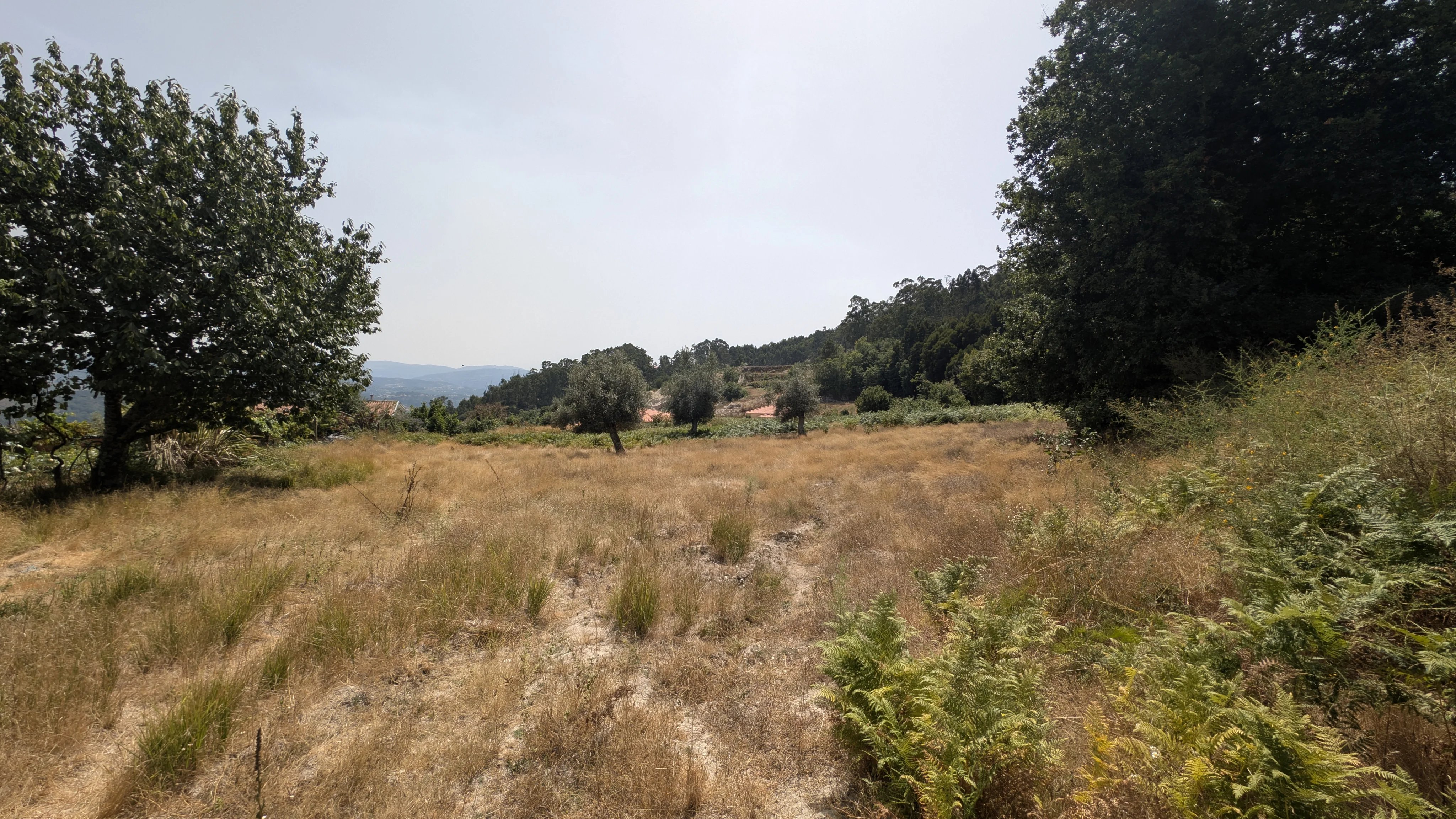 Terreno à venda em Louredo, R. dos Avelais, 4600-670 Louredo, 6745 m²