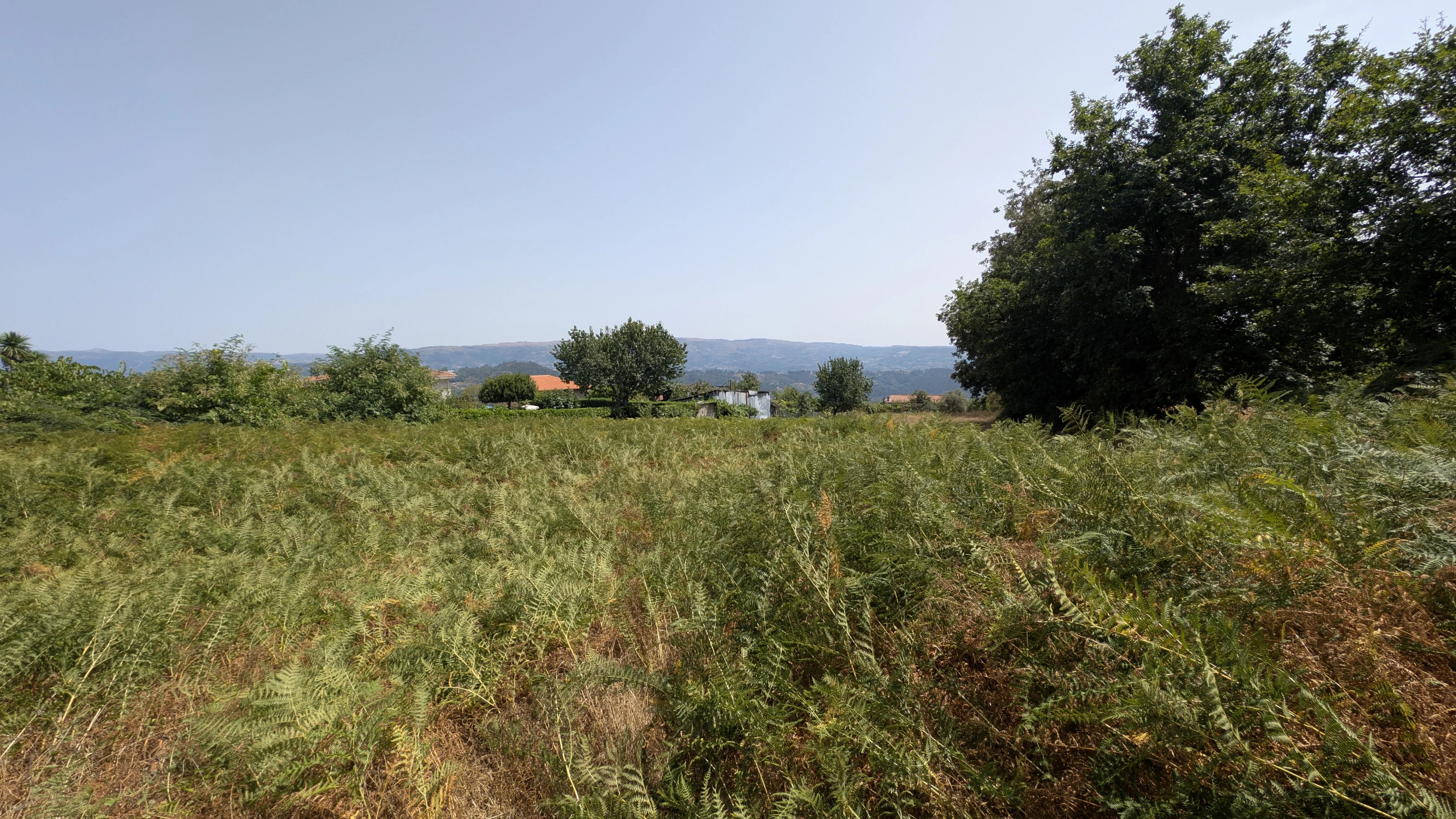 Terreno à venda em Louredo, R. dos Avelais, 4600-670 Louredo, 6745 m²