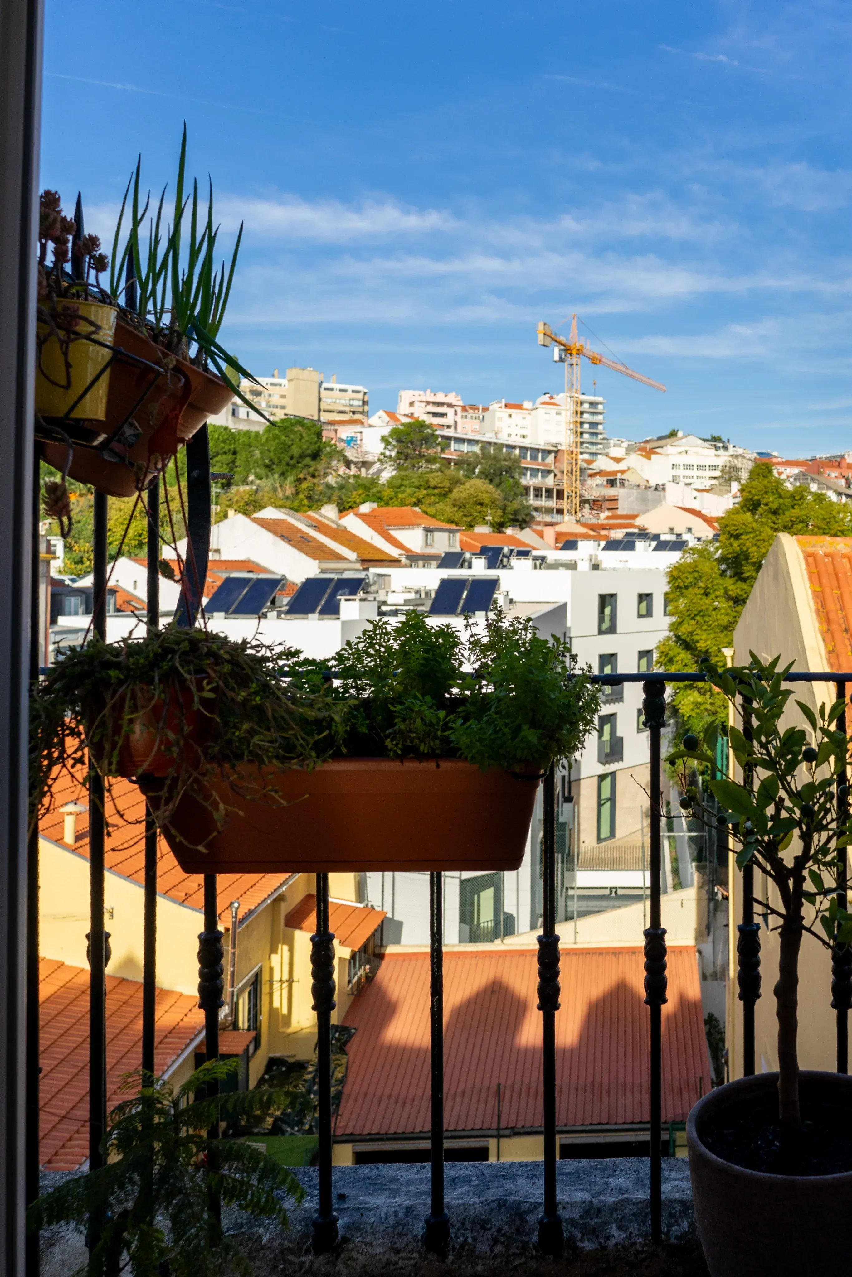 T2 +1 renovado em São Bento, 130 m² 87508637 image 9