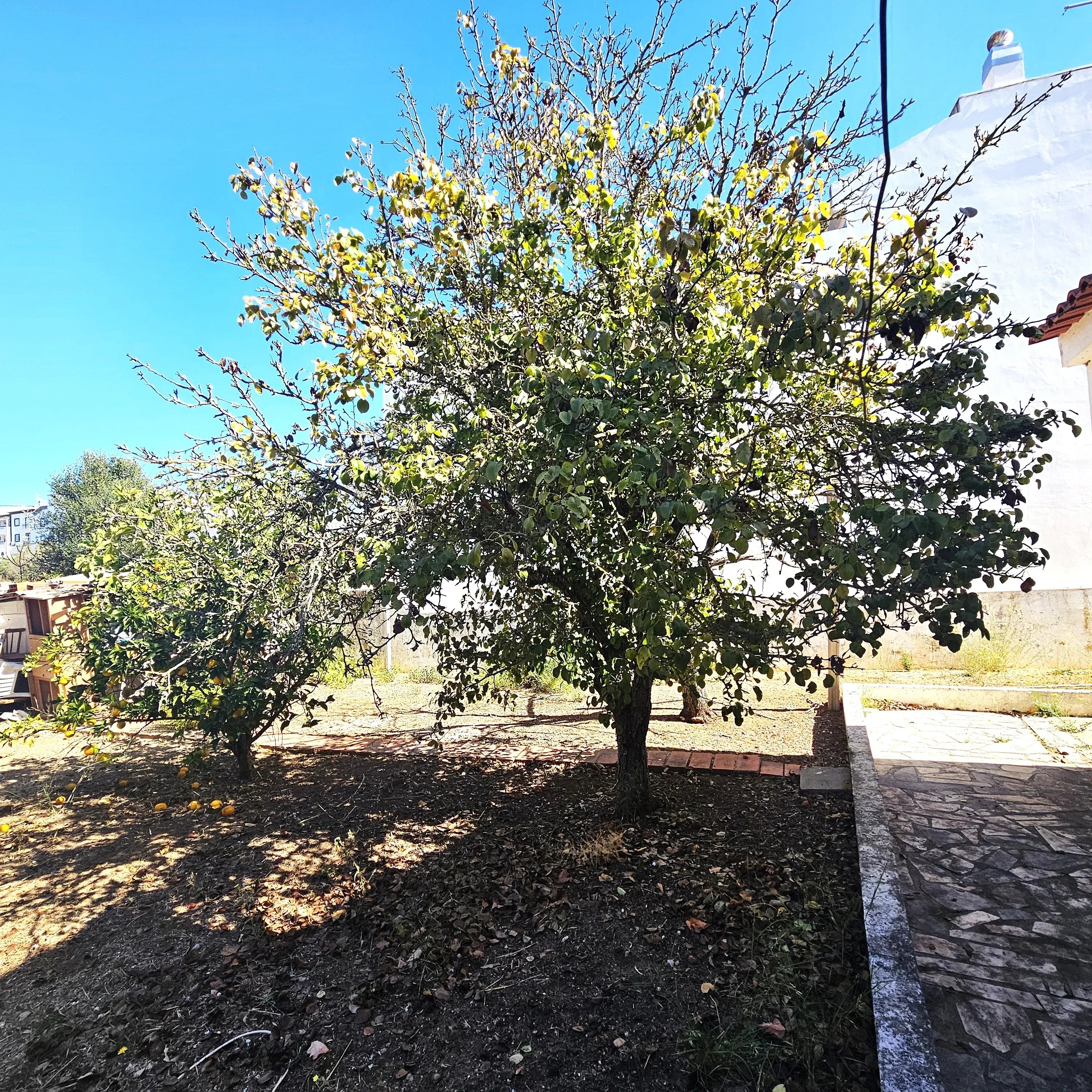 Moradia Bifamiliar em Ferragudo – Charme, Espaço e Potencial 87510156 image 28