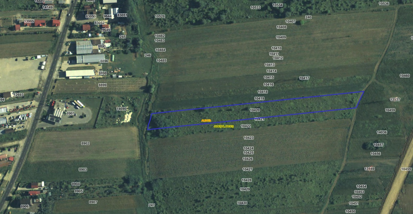 Teren 10.000 mp de vânzare – Zona OMW - Albota - 8 / Euro mp