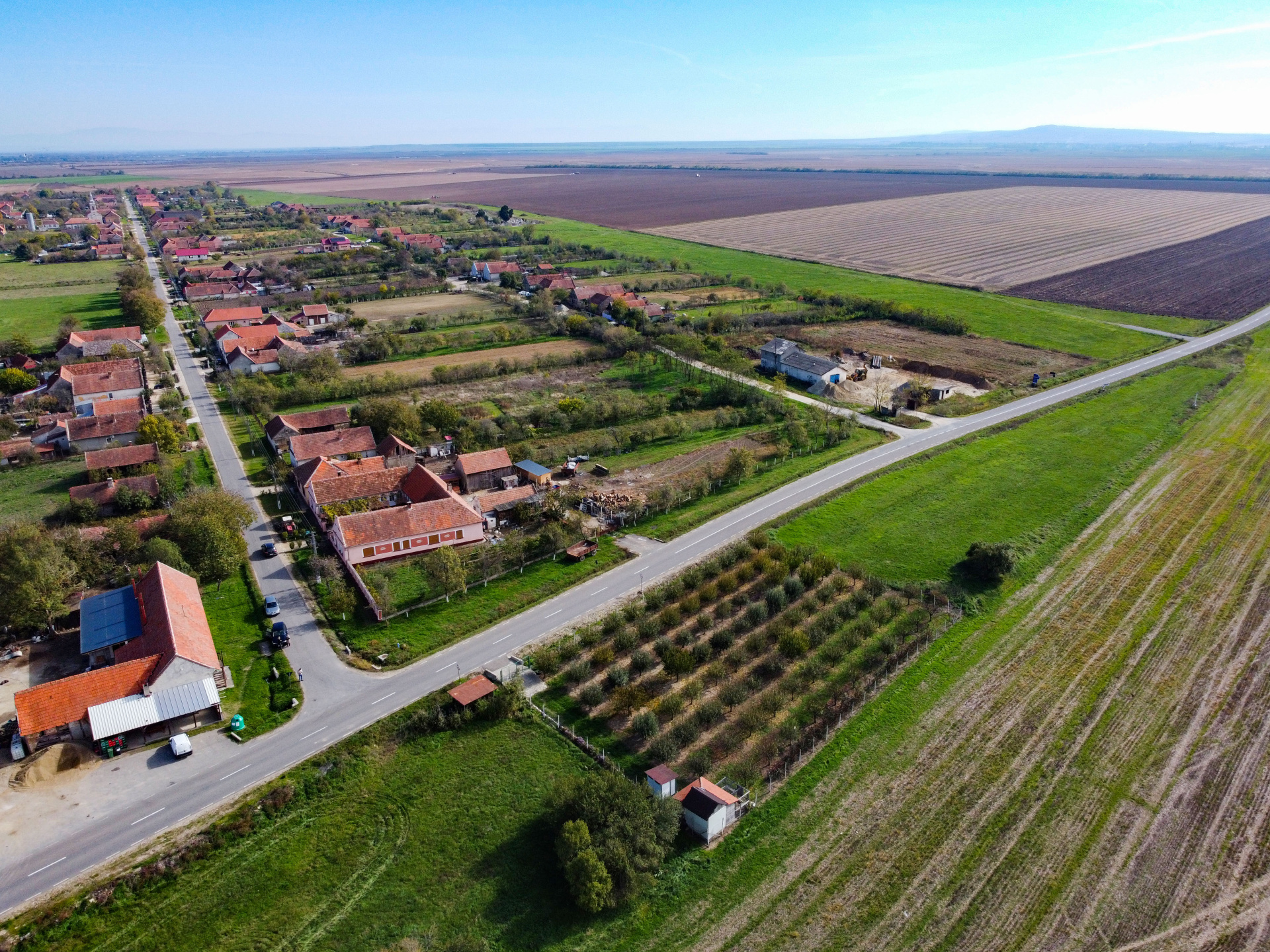 Teren cu livadă de vânzare – Sârbova, poziție excelentă!