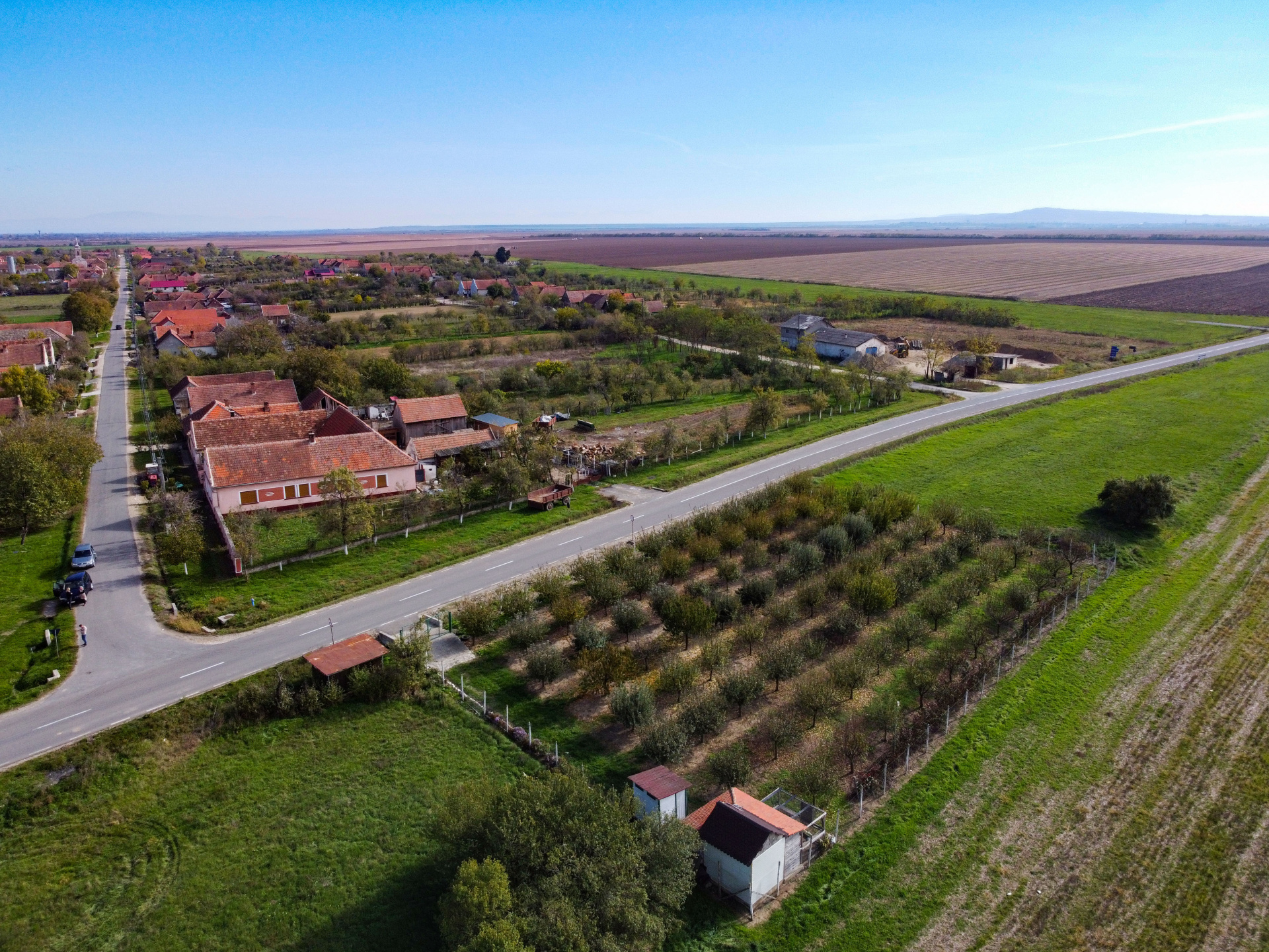Teren cu livadă de vânzare – Sârbova, poziție excelentă!
