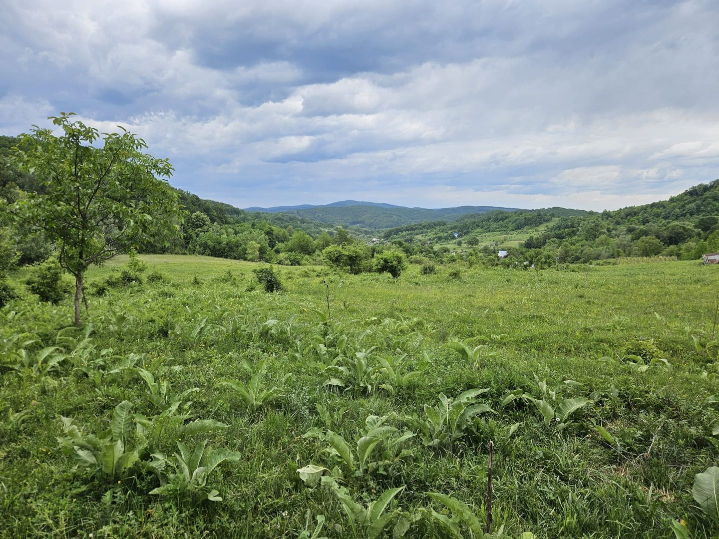 Land for sale in BC Margineni