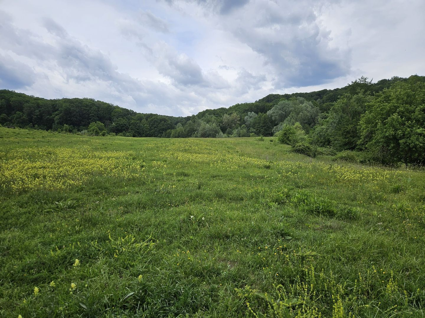 Land for sale in BC Margineni