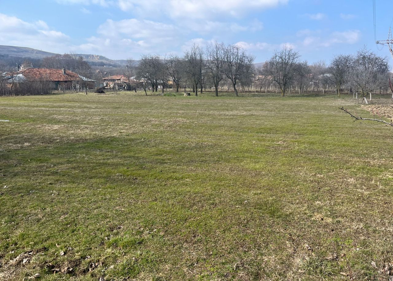 Teren intravilan de vânzare – 3.392 mp – Gorganu, Călinești