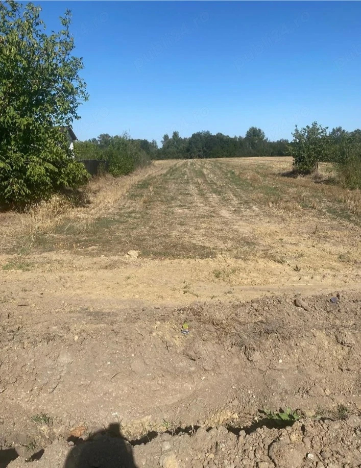 Urban Land Plot 4